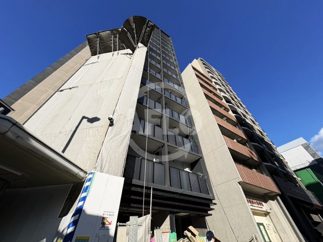 エントランス　ザ・パークハビオ谷町六丁目クロス　エントランス