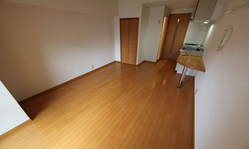 その他部屋・スペース　洋室9.8帖　クローゼット付