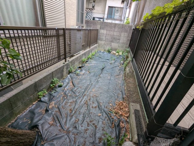 庭