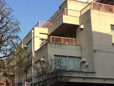 小学校　渋谷区立常磐松小学校（小学校）まで798m