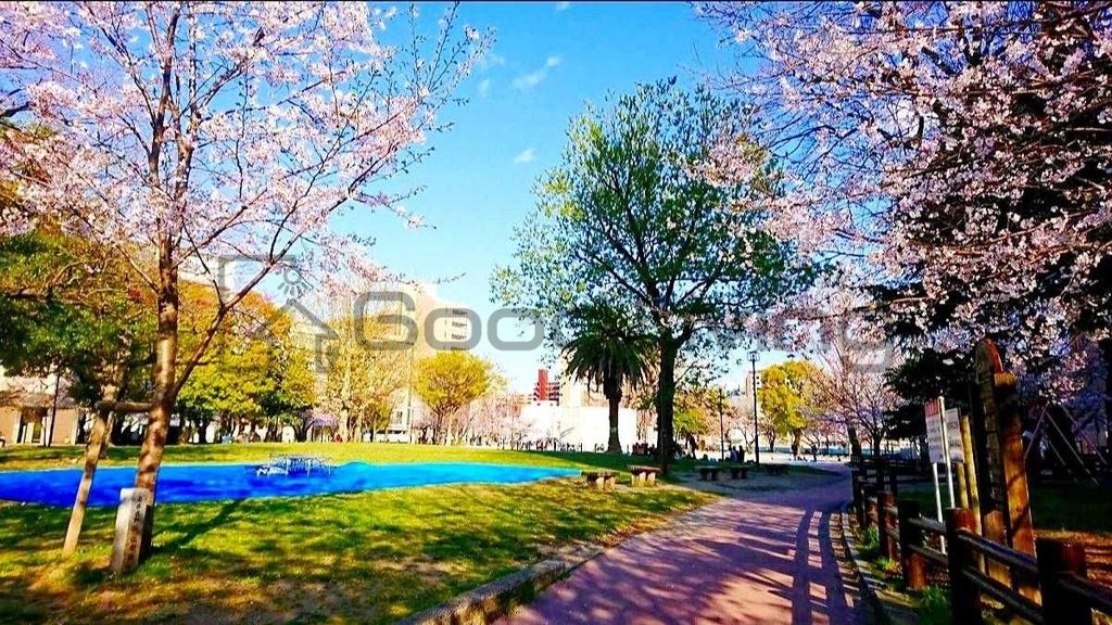 公園　冷泉公園（公園）まで940m