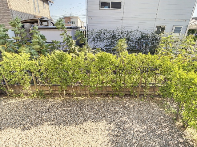 庭