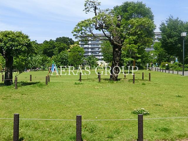 公園　中目黒公園（公園）まで428m