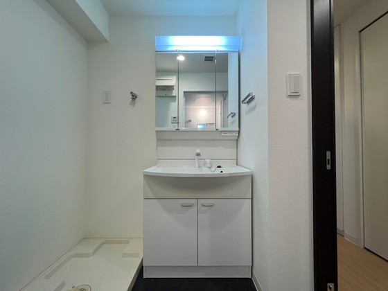 洗面設備　※別部屋の写真です