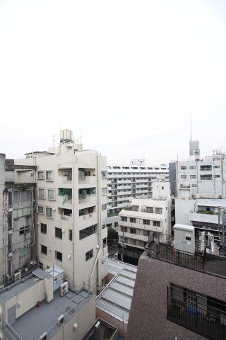 眺望　（別タイプ参考写真）ライジングプレイス巣鴨　豊島区巣鴨1
