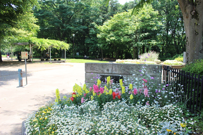 公園　町田市立忠生公園（公園）まで642m