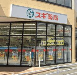 ドラックストア　スギ薬局伊勢原成瀬店（ドラッグストア）まで516m