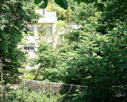 小学校　八王子市立城山小学校（小学校）まで708m