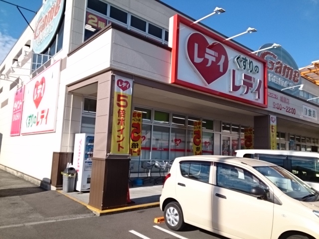 ドラックストア　くすりのレデイ姫原店（ドラッグストア）まで700m
