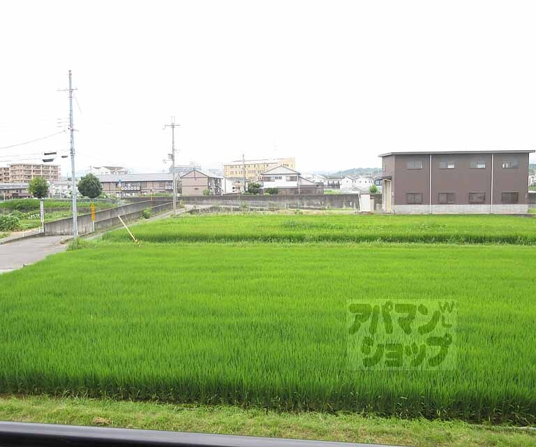 眺望　のどかな風景です。