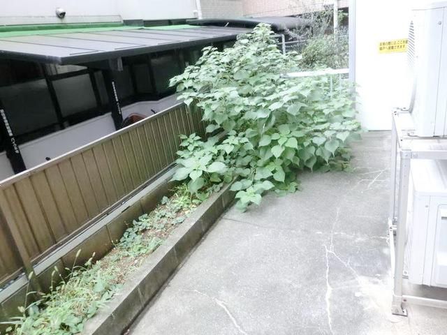 眺望　テラス