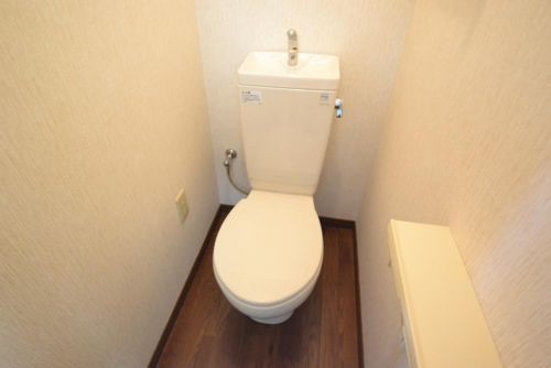 ステラハウス14のトイレ写真
