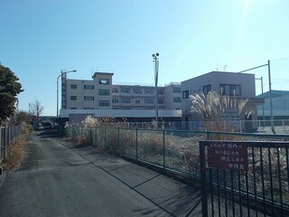 小学校　中島小学校（小学校）まで600m