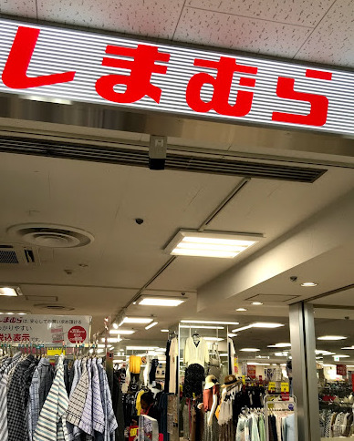 その他　しまむら 椎名町店（その他）まで183m