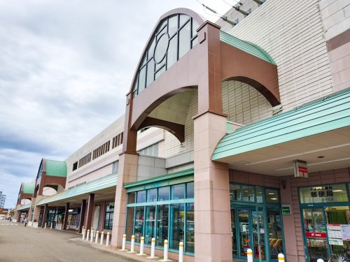 その他　イオン 上越店（その他）まで733m