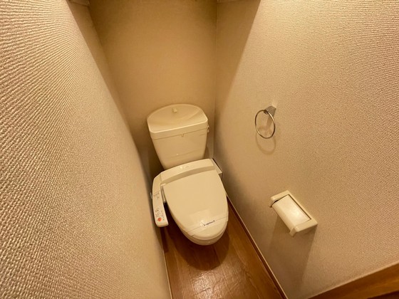 トイレ　※別号室の写真です