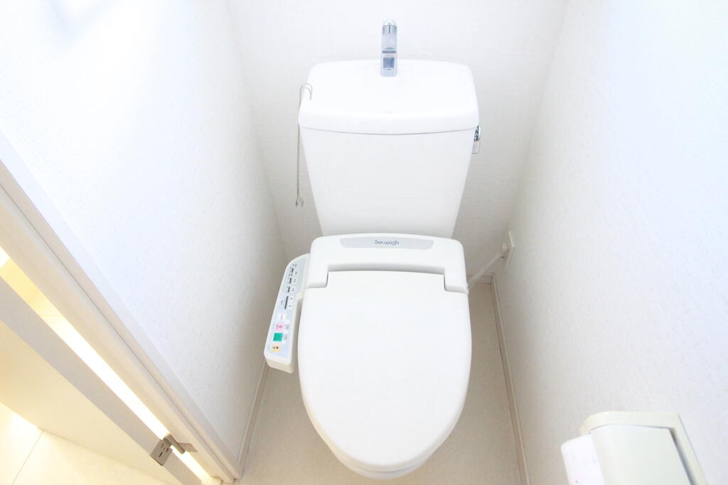 ＪＲ徳島線 鮎喰駅 徒歩9分 2階建 築17年のトイレ写真