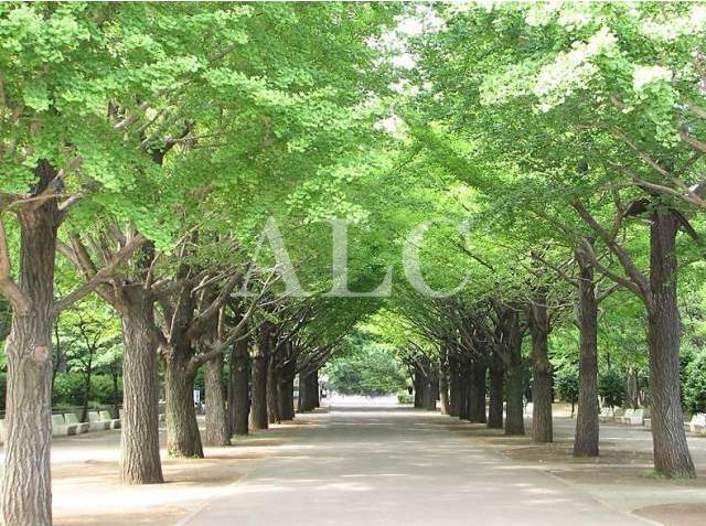 公園　光が丘公園（公園）まで1802m