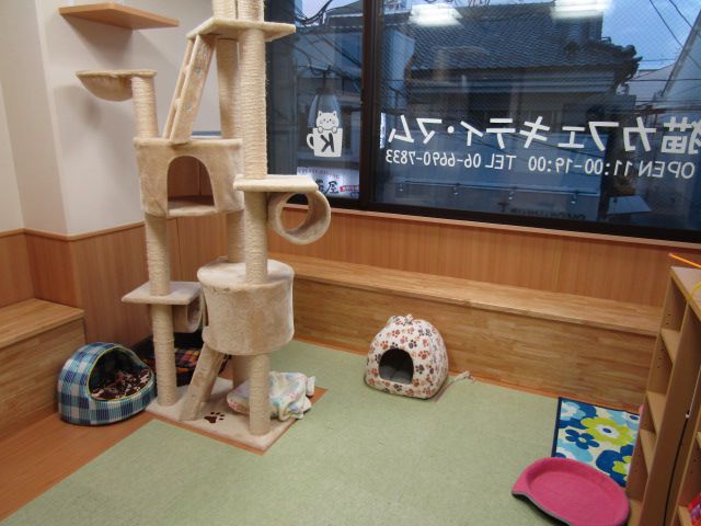 飲食店　猫カフェ　キティマム（飲食店）まで874m