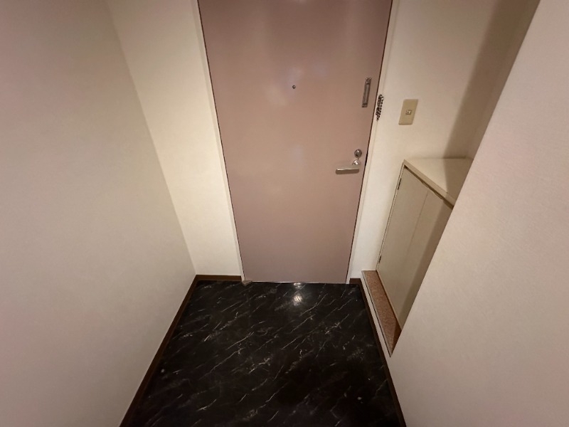 玄関　シューズボックスあります