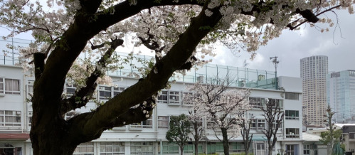 小学校　目黒区立烏森小学校（小学校）まで365m