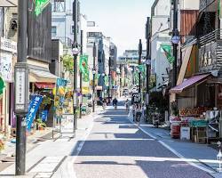 trias461の周辺写真