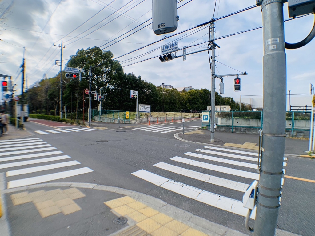 大学・短大　東京都立大学 荒川キャンパス（大学・短大）まで444m