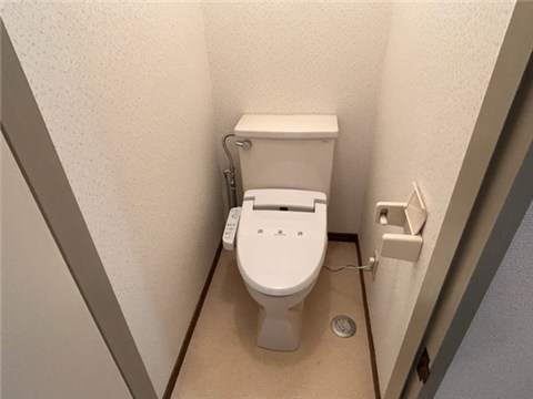 プレアデス沢村のトイレ写真