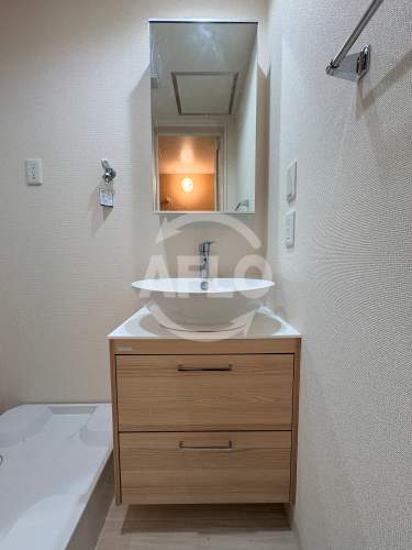 洗面設備　フジパレス杉本町駅西VI番館　独立洗面台