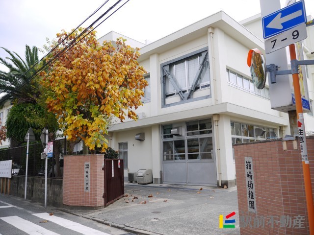 小学校　箱崎小学校（小学校）まで600m