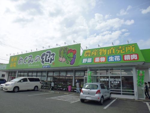 スーパー　めぐみの郷大久保店（スーパー）まで446m