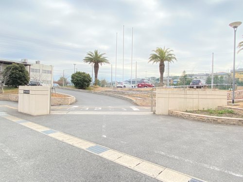 小学校　新田小学校（小学校）まで793m