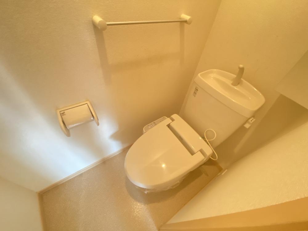 マルベリーのトイレ写真