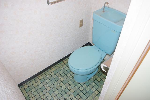 トイレ　トイレも気になるポイント