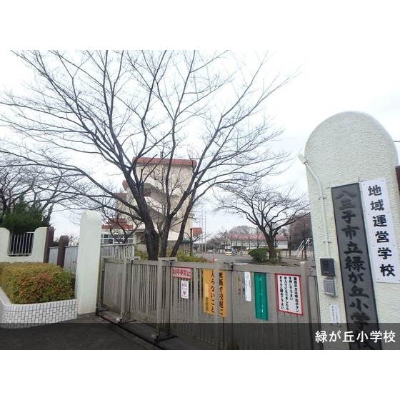 小学校　八王子市立緑が丘小学校（小学校）まで243m