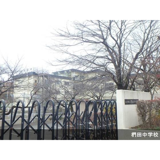 中学校　八王子市立椚田中学校（中学校）まで1702m