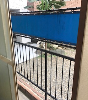 バルコニー
