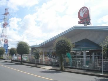 ホームセンター　コメリ（ホームセンター）まで1100m