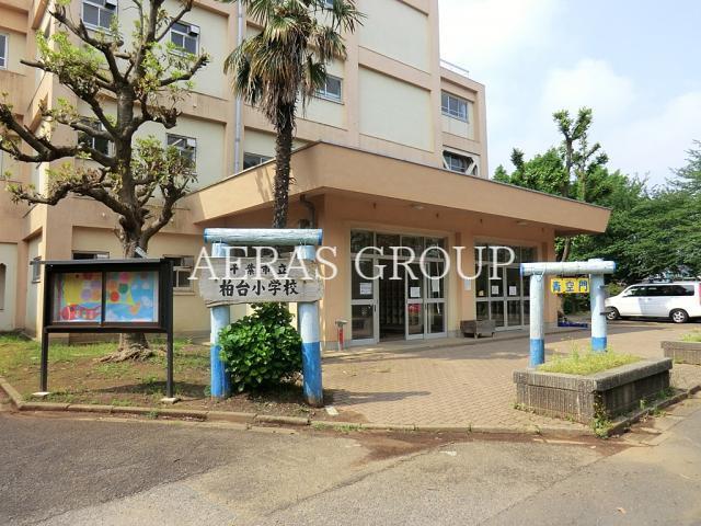 小学校　千葉市立柏台小学校（小学校）まで956m