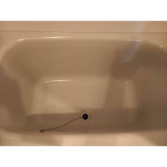 バス・シャワールーム　※同物件他号室の写真となります。