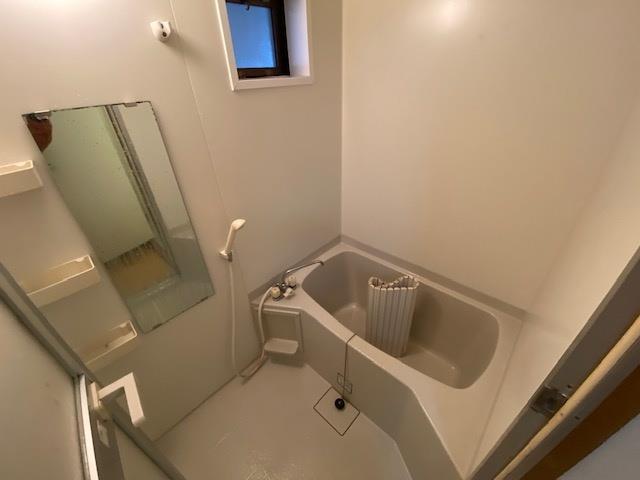 バス・シャワールーム　同タイプの別部屋の写真です