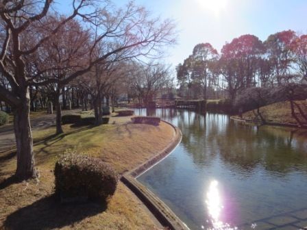 その他　松見公園（その他）まで1700m