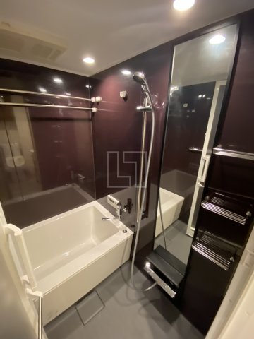 バス・シャワールーム　プライマル靭本町　浴室