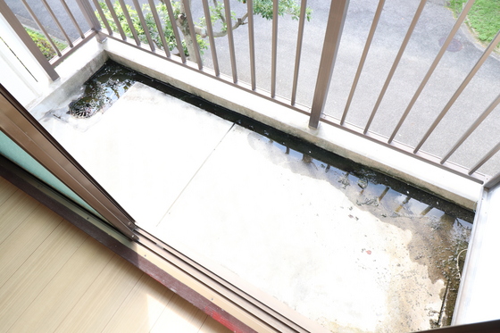 バルコニー　※別部屋の写真です