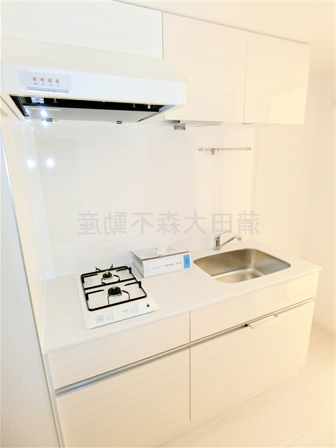 キッチン　2口ガスシステムキッチン