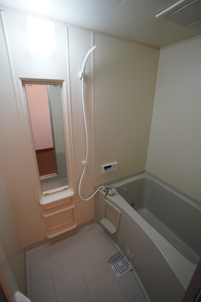 バス・シャワールーム　同じ建物の別なお部屋