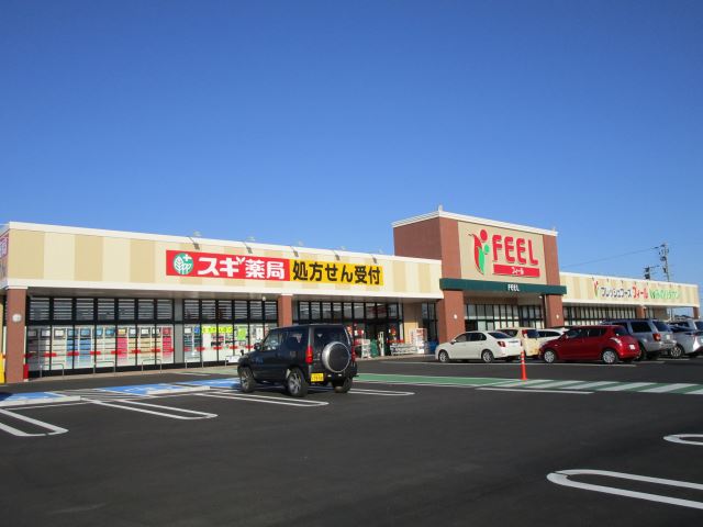 スーパー　ＦＥＥＬ（スーパー）まで850m