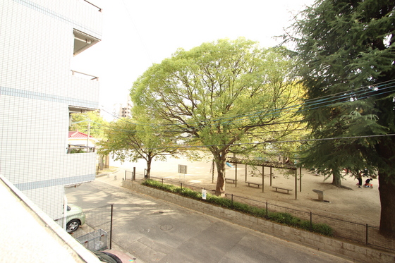 眺望　※別部屋の写真です