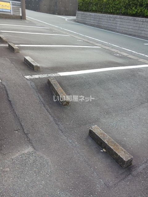 Surplus ミニオンのその他写真