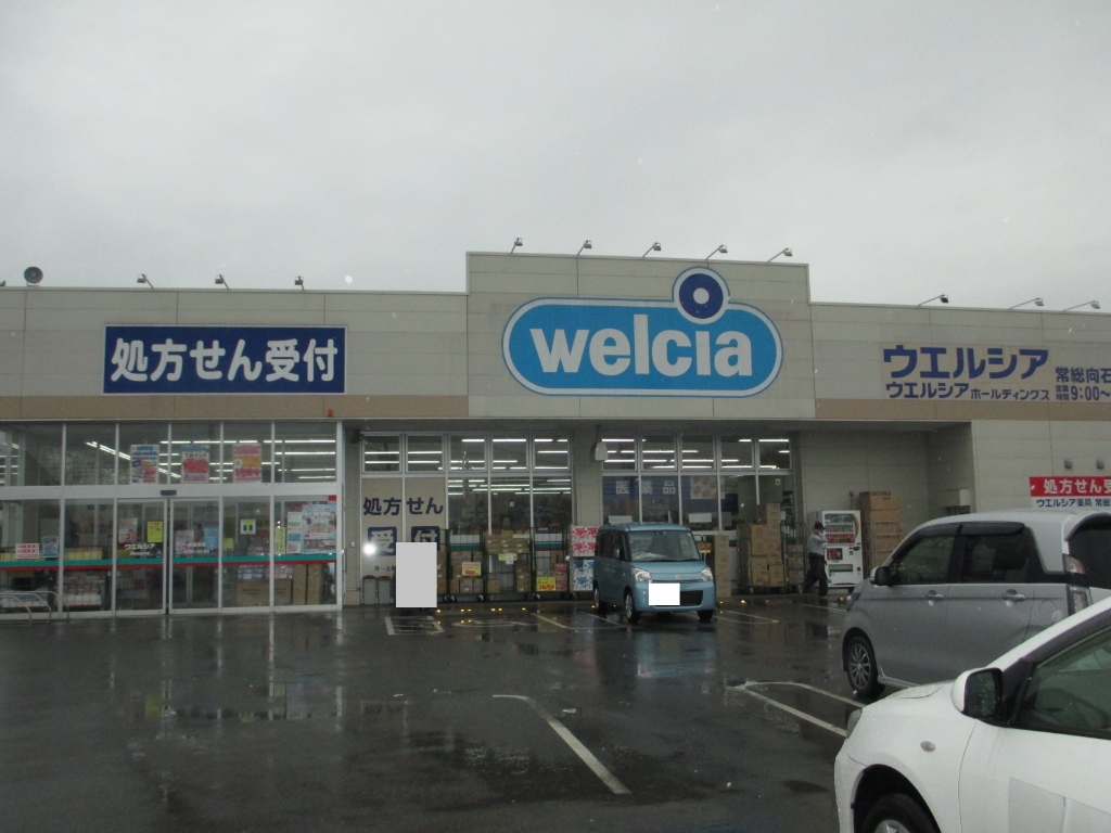 ドラックストア　ウエルシア常総向石下店（ドラッグストア）まで507m